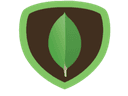 Skill Icon